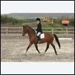 durdress9_0439