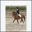 durdress9_0440