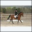 durdress9_0442
