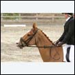 durdress9_0449