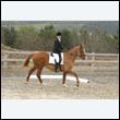 durdress9_0450