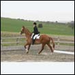 durdress9_0455