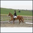 durdress9_0456