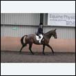 durdress9_0458