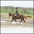 durdress9_0465