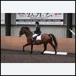 durdress9_0471