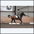 durdress9_0481