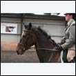 durdress9_0485
