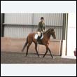 durdress9_0490