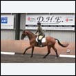 durdress9_0493