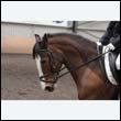 durdress9_0496