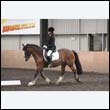 durdress9_0497