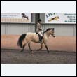 durdress9_0503