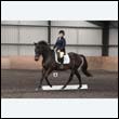 durdress9_0523