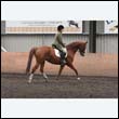 durdress9_0526