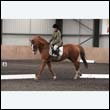 durdress9_0530