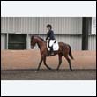 durdress9_0535