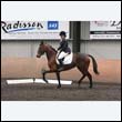 durdress9_0537