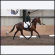 durdress9_0541