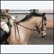 durdress9_0544