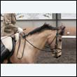 durdress9_0547