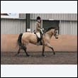 durdress9_0549