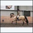 durdress9_0553