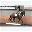 durdress9_0558