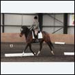 durdress9_0566