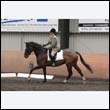 durdress9_0571