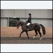durdress9_0581