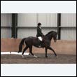 durdress9_0585
