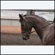 durdress9_0606