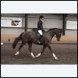 durdress9_0608