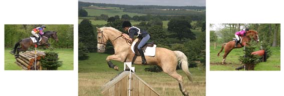 Equestrian event photographs