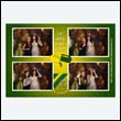 sundpharmPB_0028