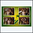 sundpharmPB_0044