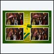 sundpharmPB_0097